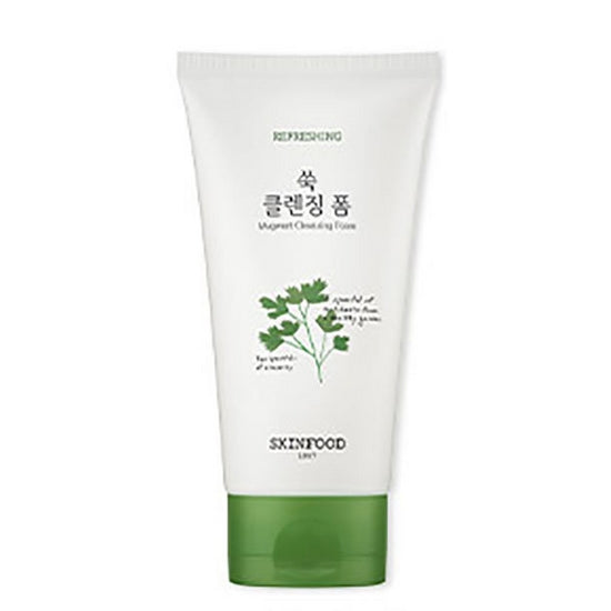 SKINFOOD: NEW Veggie Garden Wormwood Cleansing Foam 150ml