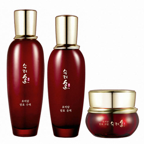 Sooryehan: Hyobidam fermentation 3 kinds set