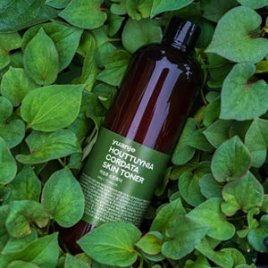 YuanJe: Erseongcho Skin Toner 490g